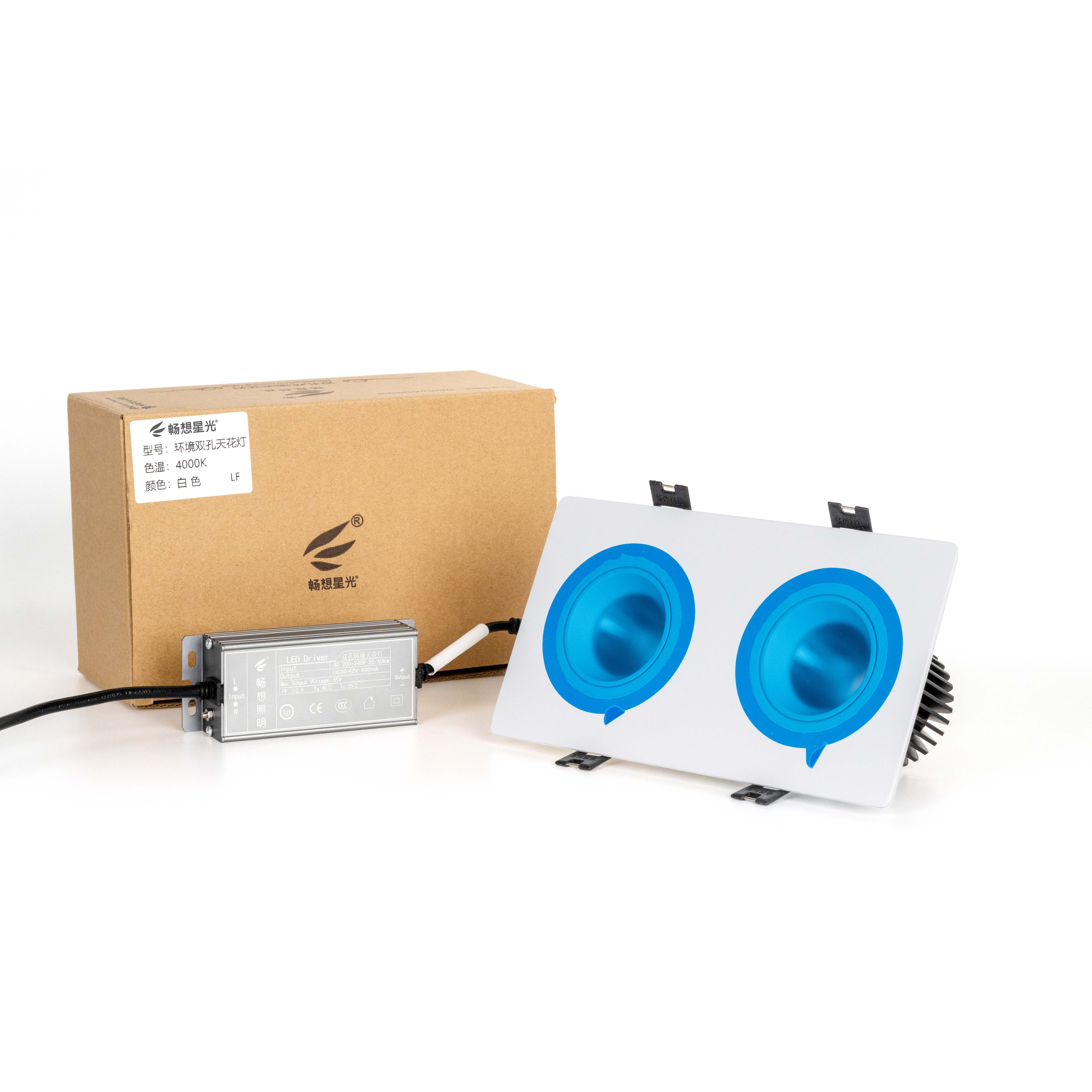 Moon 穹月22077嵌入式双孔天花灯